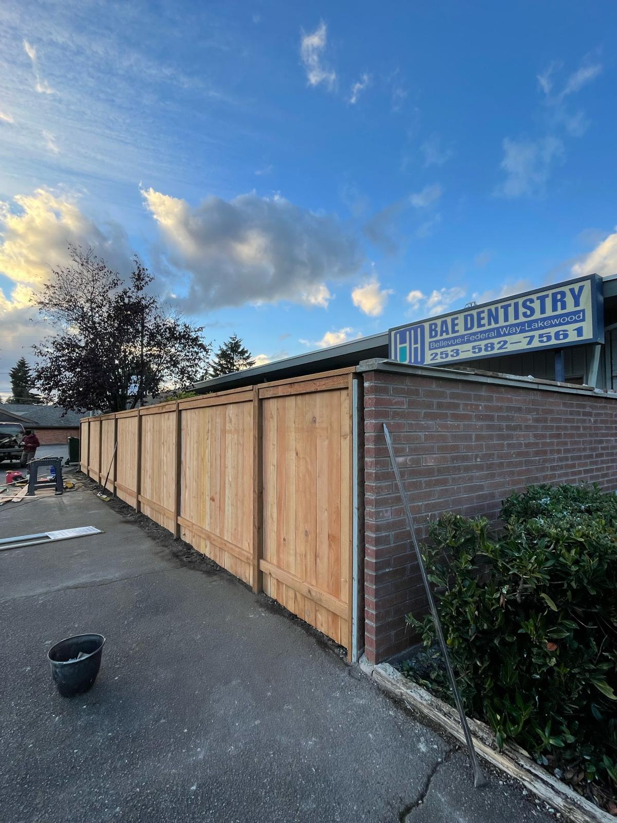 Mojave desert in the dark