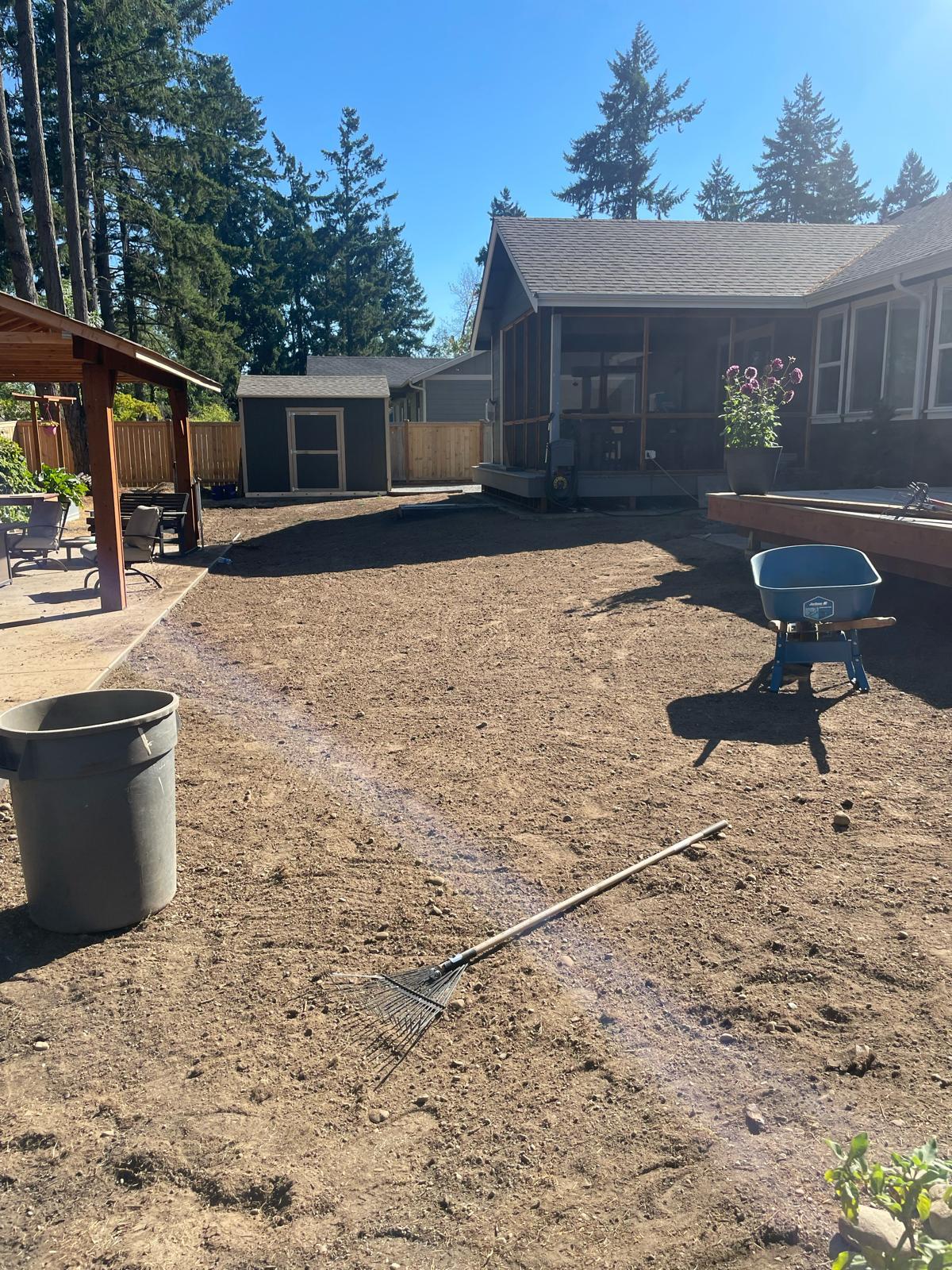 Mojave desert in the sun