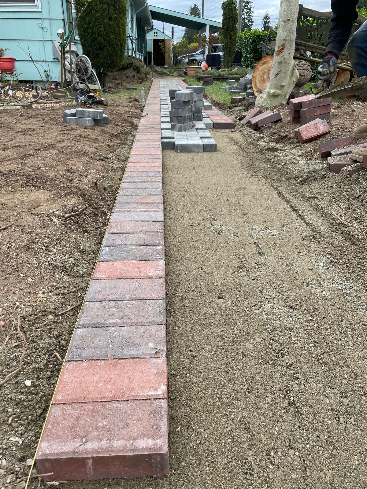 Mojave desert in the sun