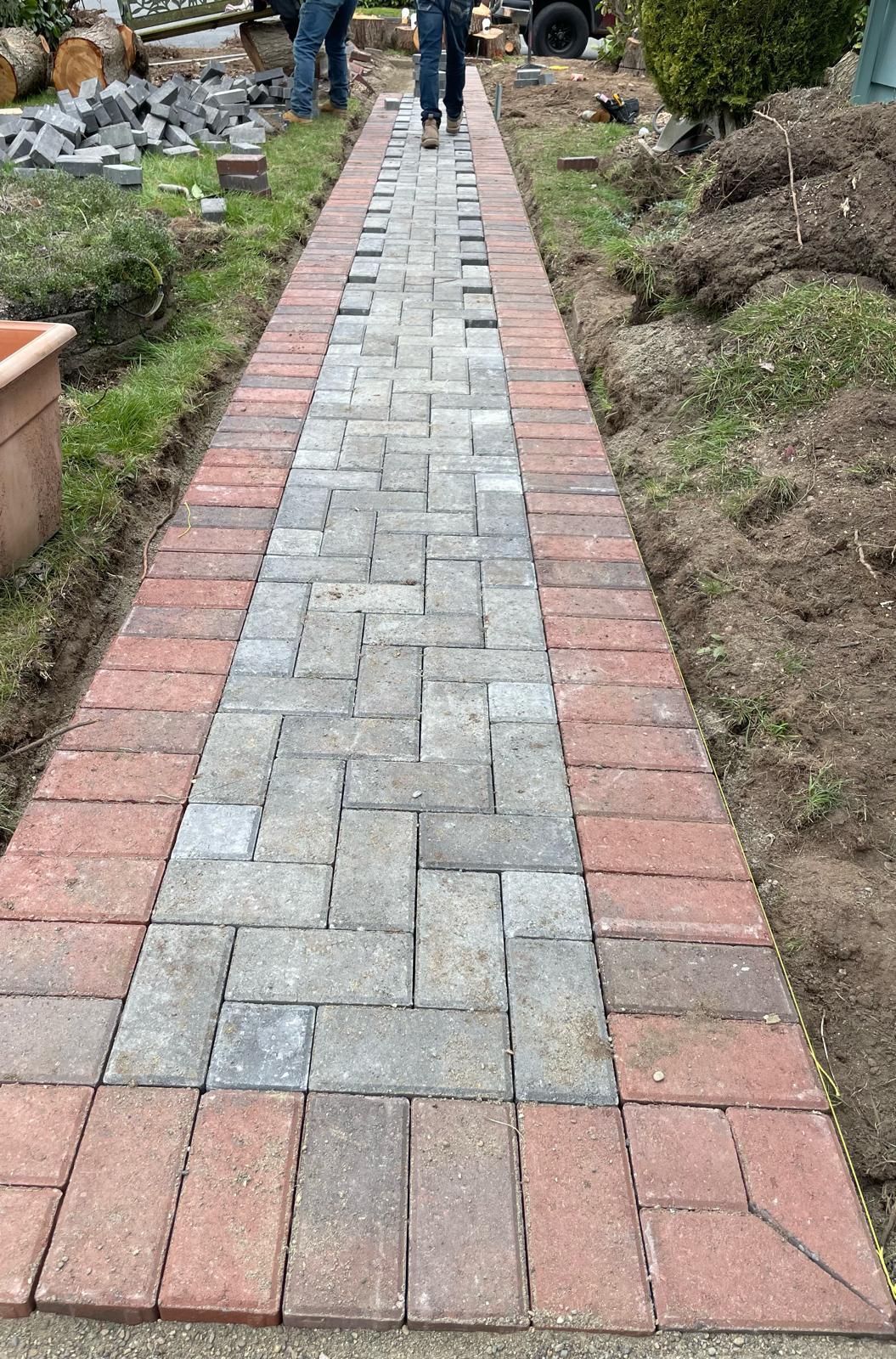 Mojave desert in the dark