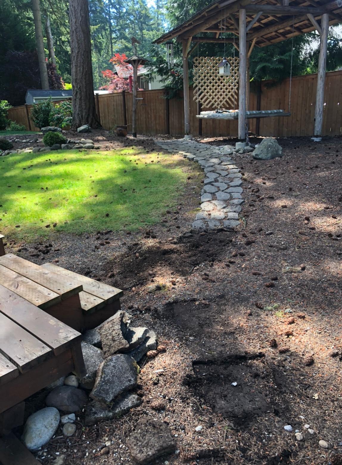 Mojave desert in the sun