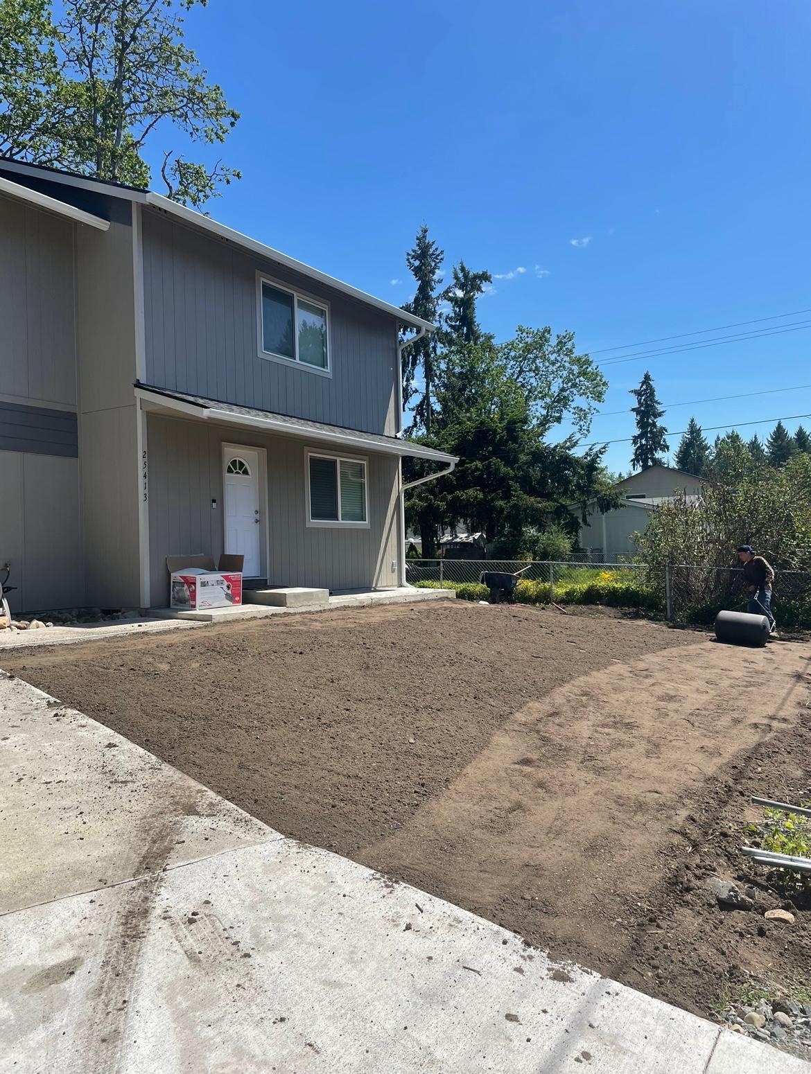 Mojave desert in the sun