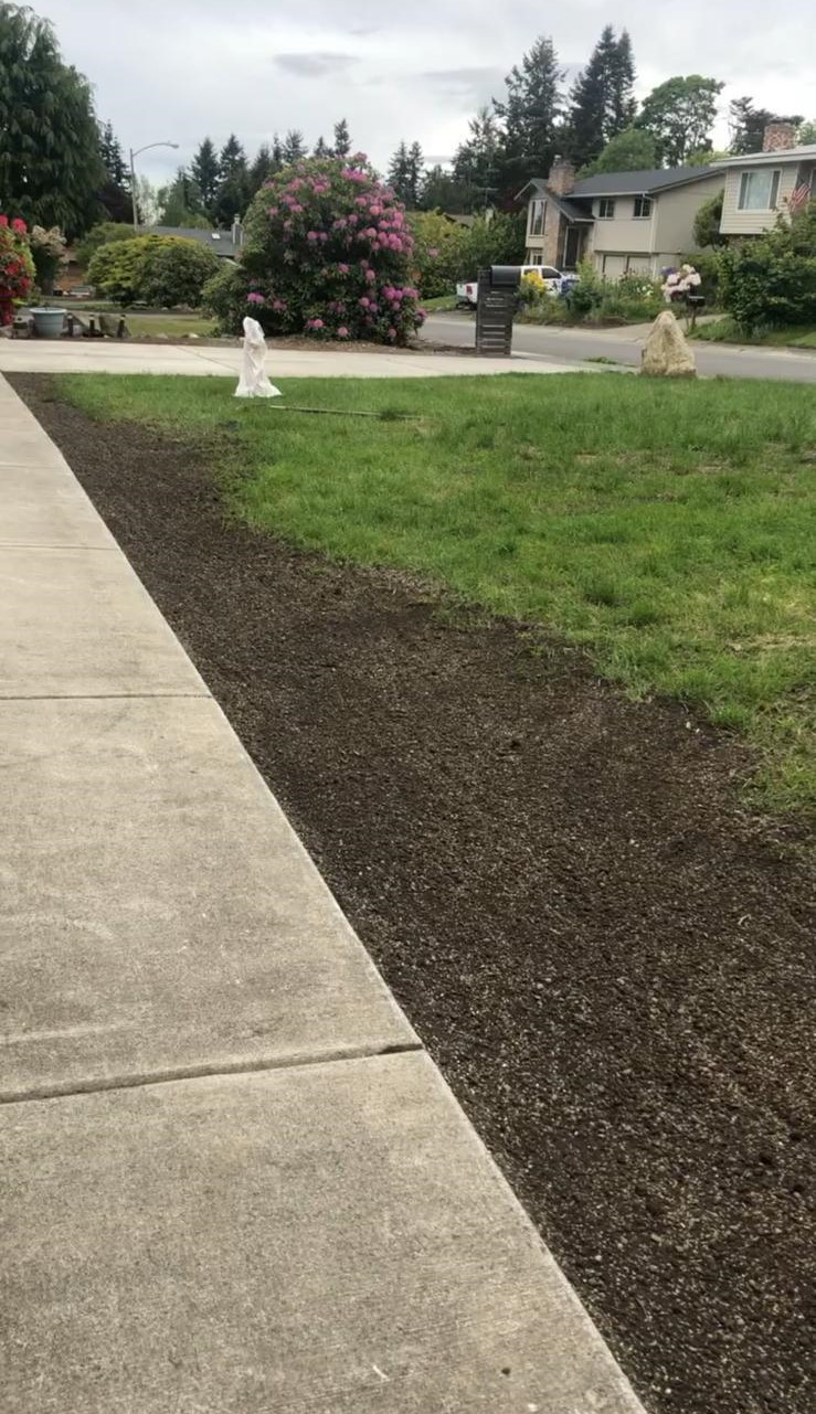 Mojave desert in the sun