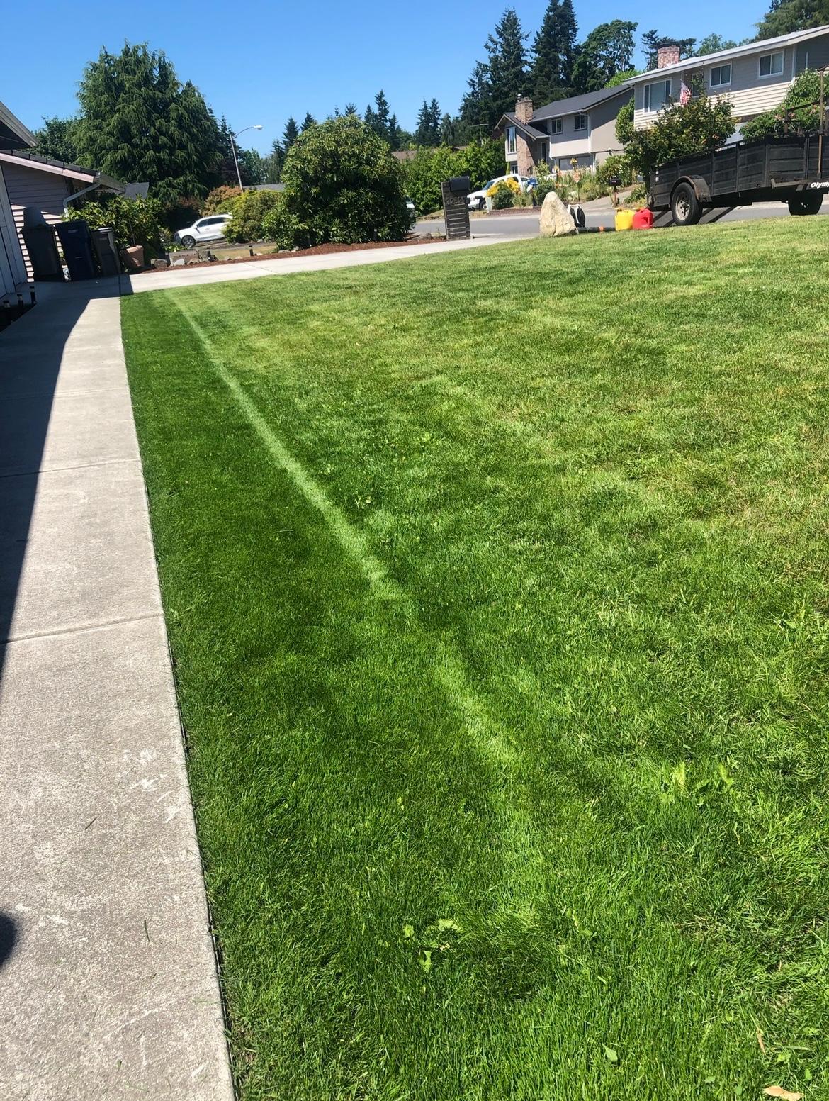 Mojave desert in the dark