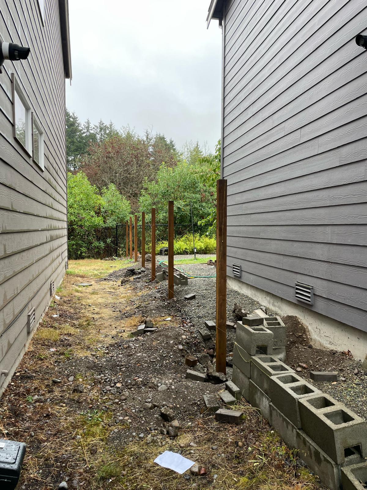 Mojave desert in the sun