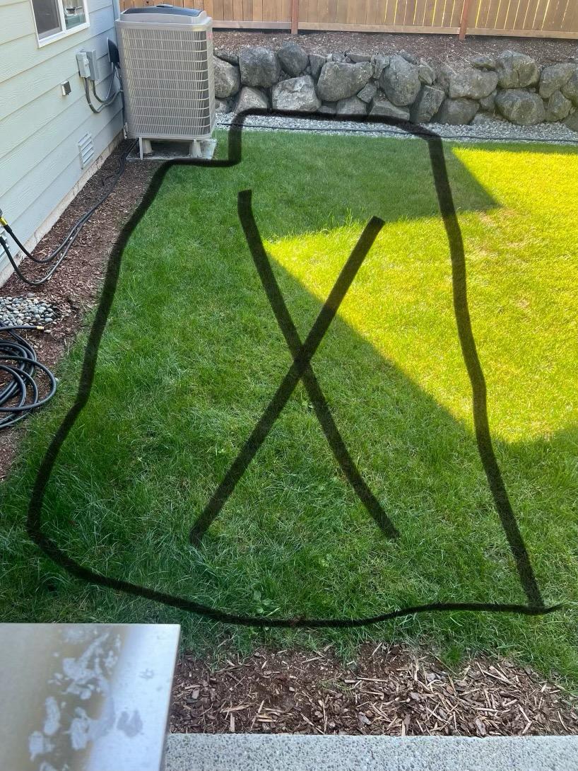 Mojave desert in the sun