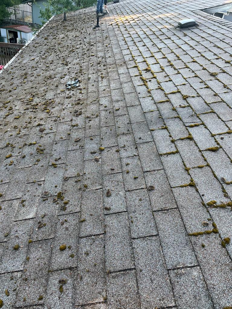 Mojave desert in the sun