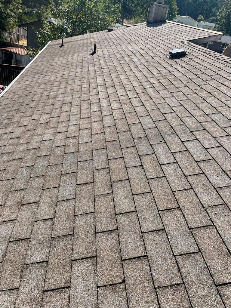 Mojave desert in the dark